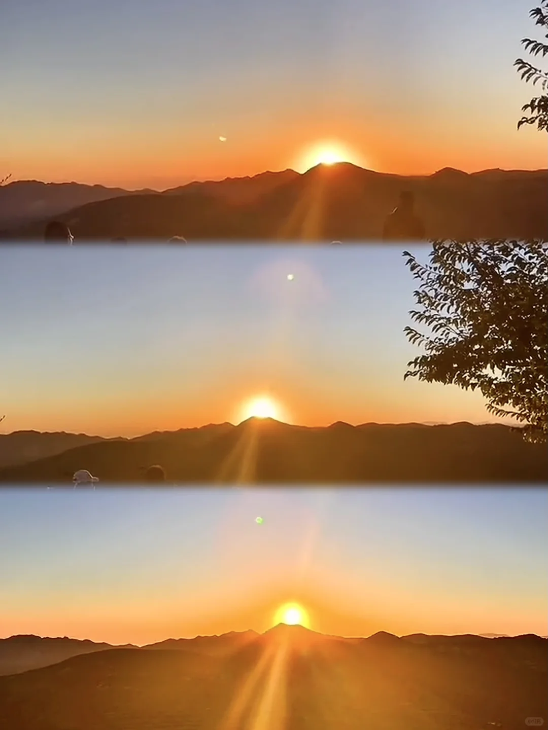 朝阳｜清明不知道去哪玩？朝阳真的很值得！