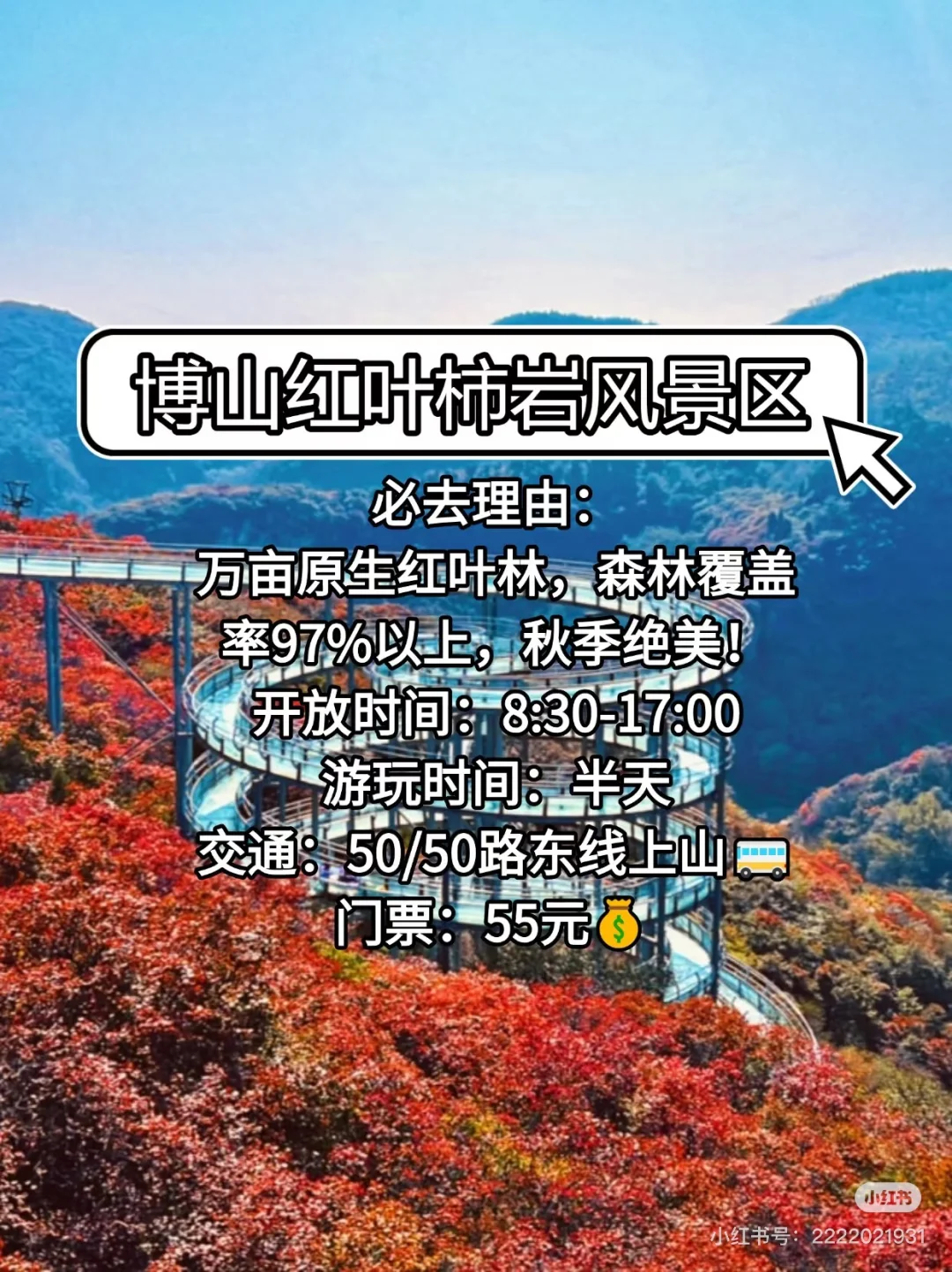 淄博必游景点攻略