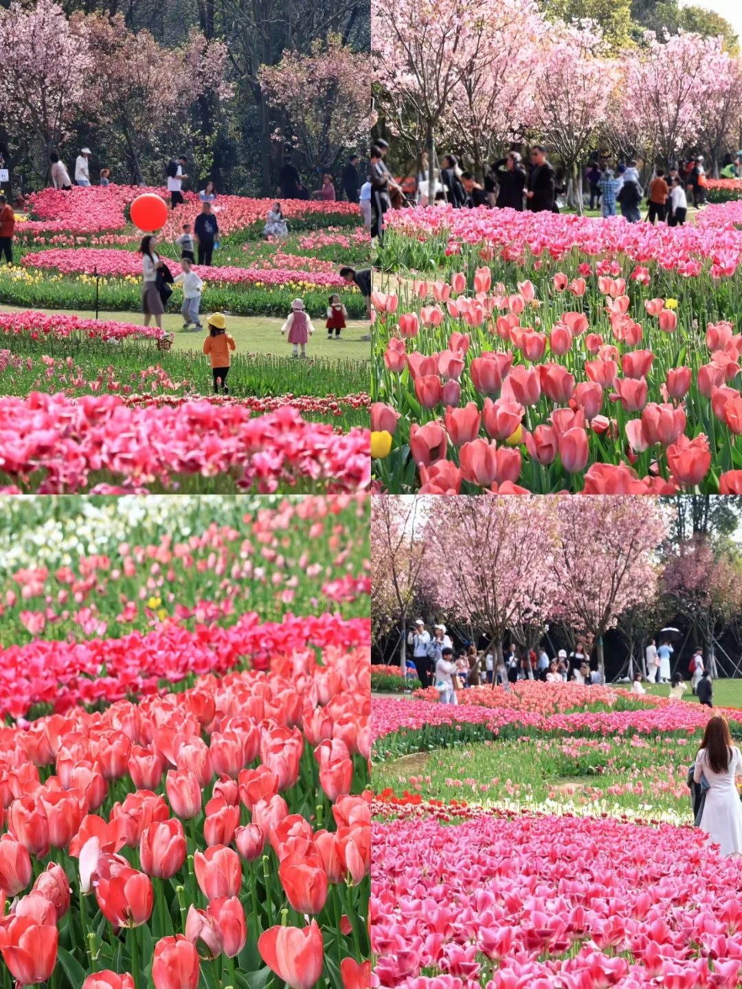 📌 江西南昌清明节旅游攻略