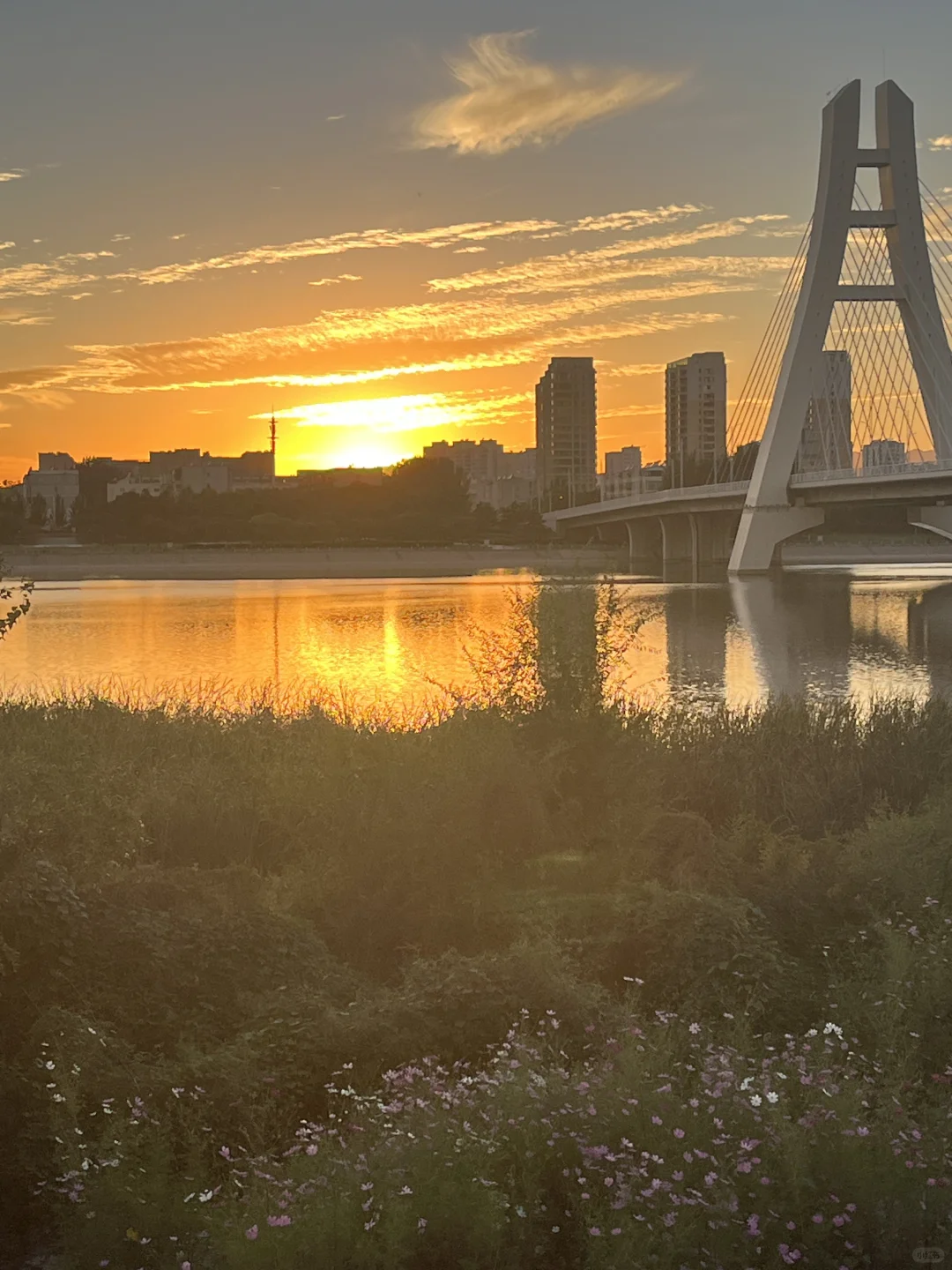 朝阳｜清明不知道去哪玩？朝阳真的很值得！