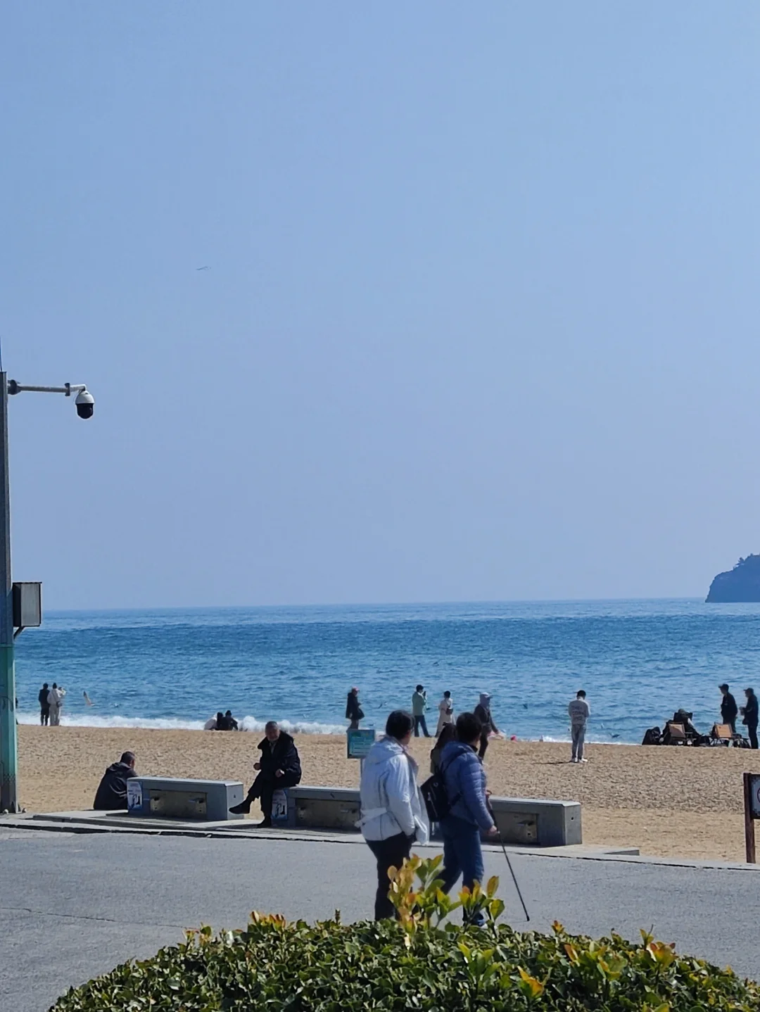 人与海鸥，共享春天的蔚蓝之境