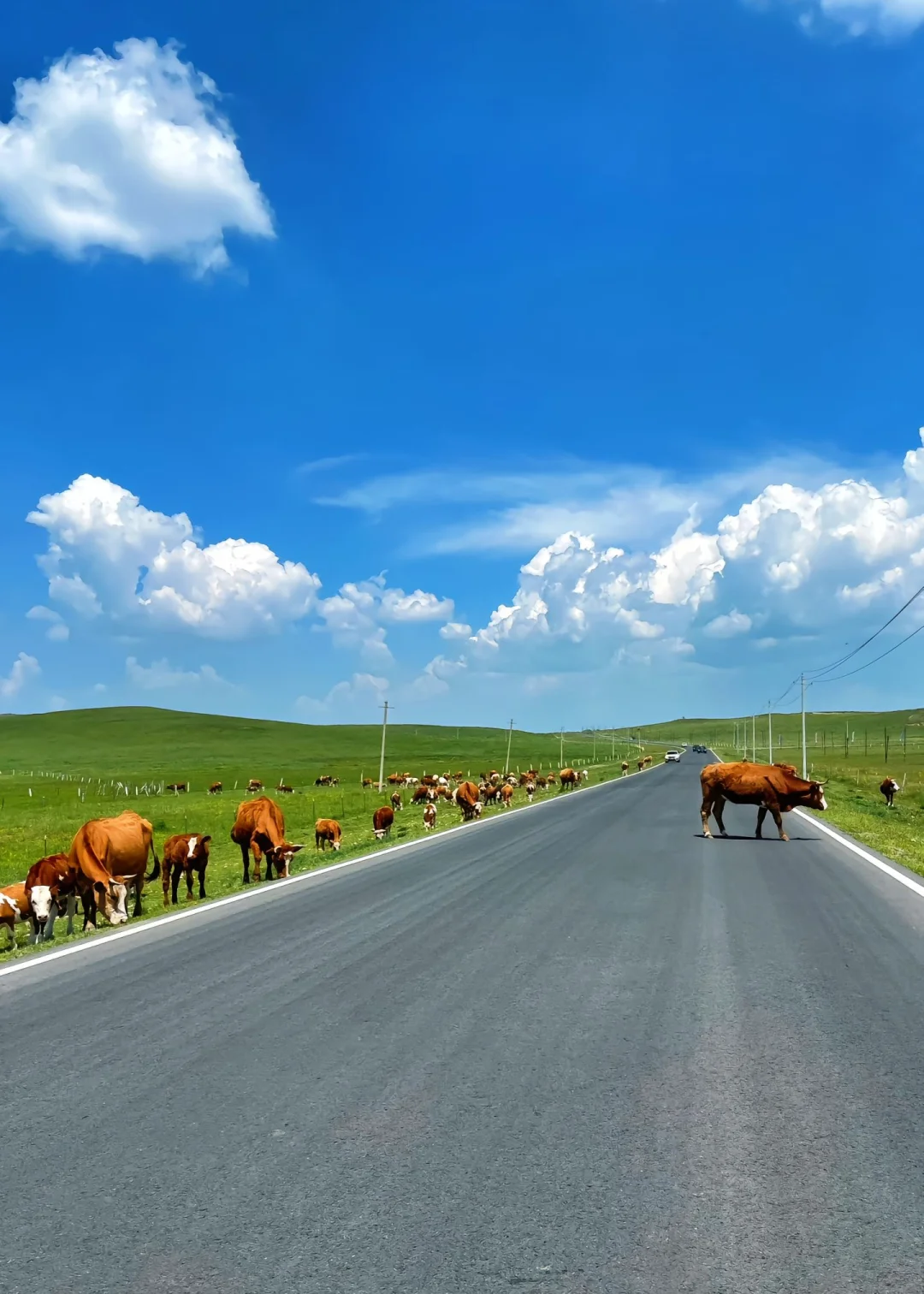五一反向旅行！人均800➕人少景美绝佳地‼️