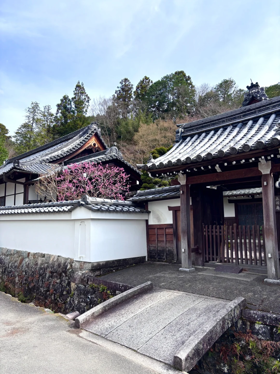 京都旅游攻略看我这篇就够！！！