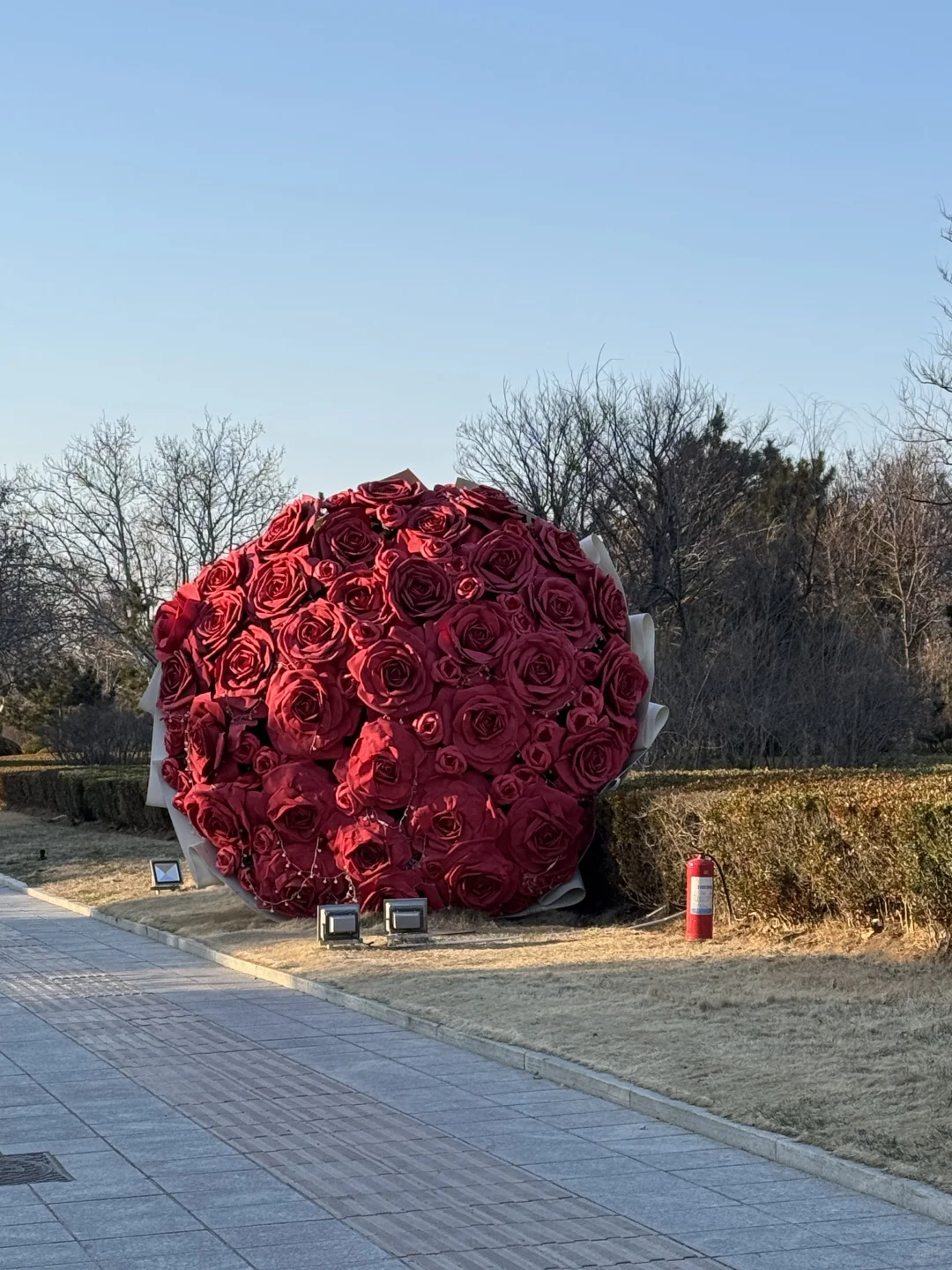 威海！比收费景点还值得去的免费景点，超出片