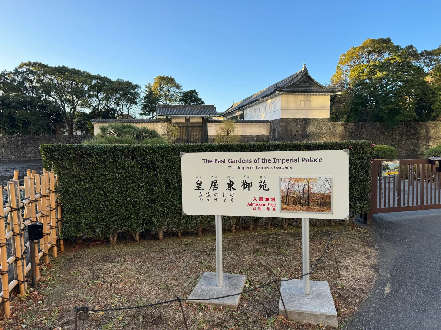 ✨ 「東京：摩登与禅意的二重诗」