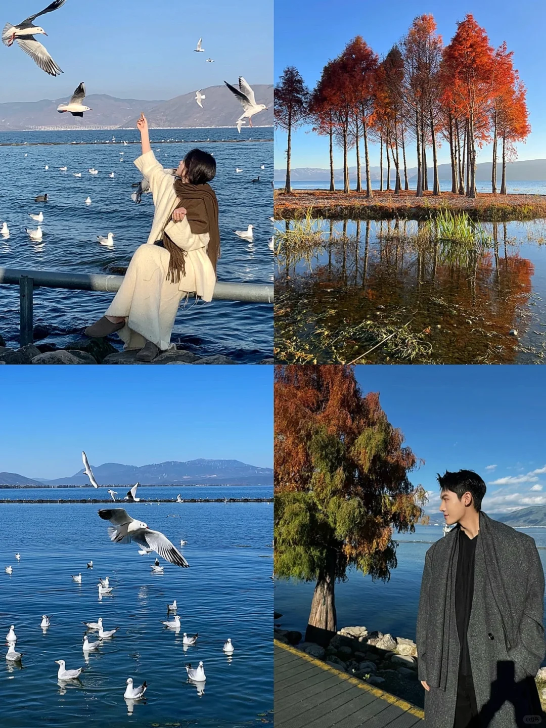 云南旅游攻略,七天花了2700💰,情侣路线