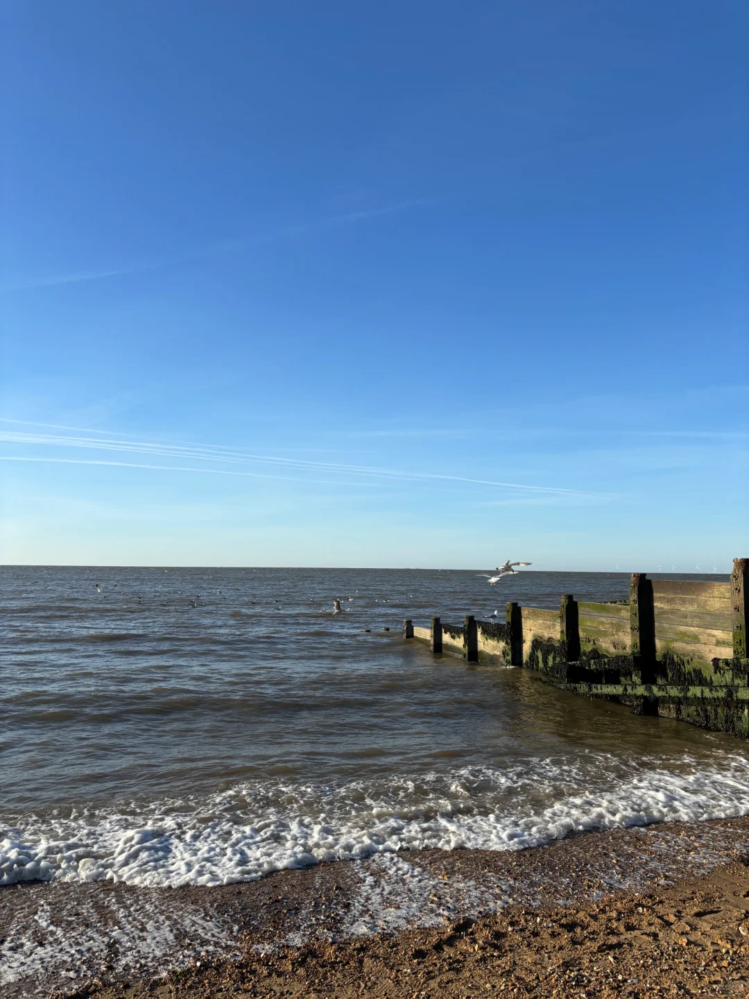 坎特伯雷➕whitstable一日游