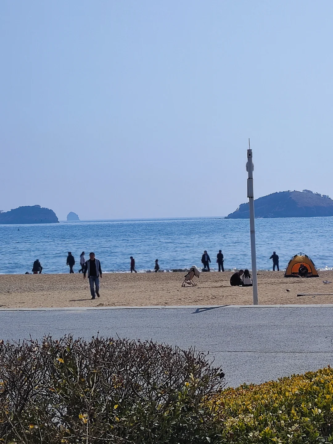 人与海鸥，共享春天的蔚蓝之境