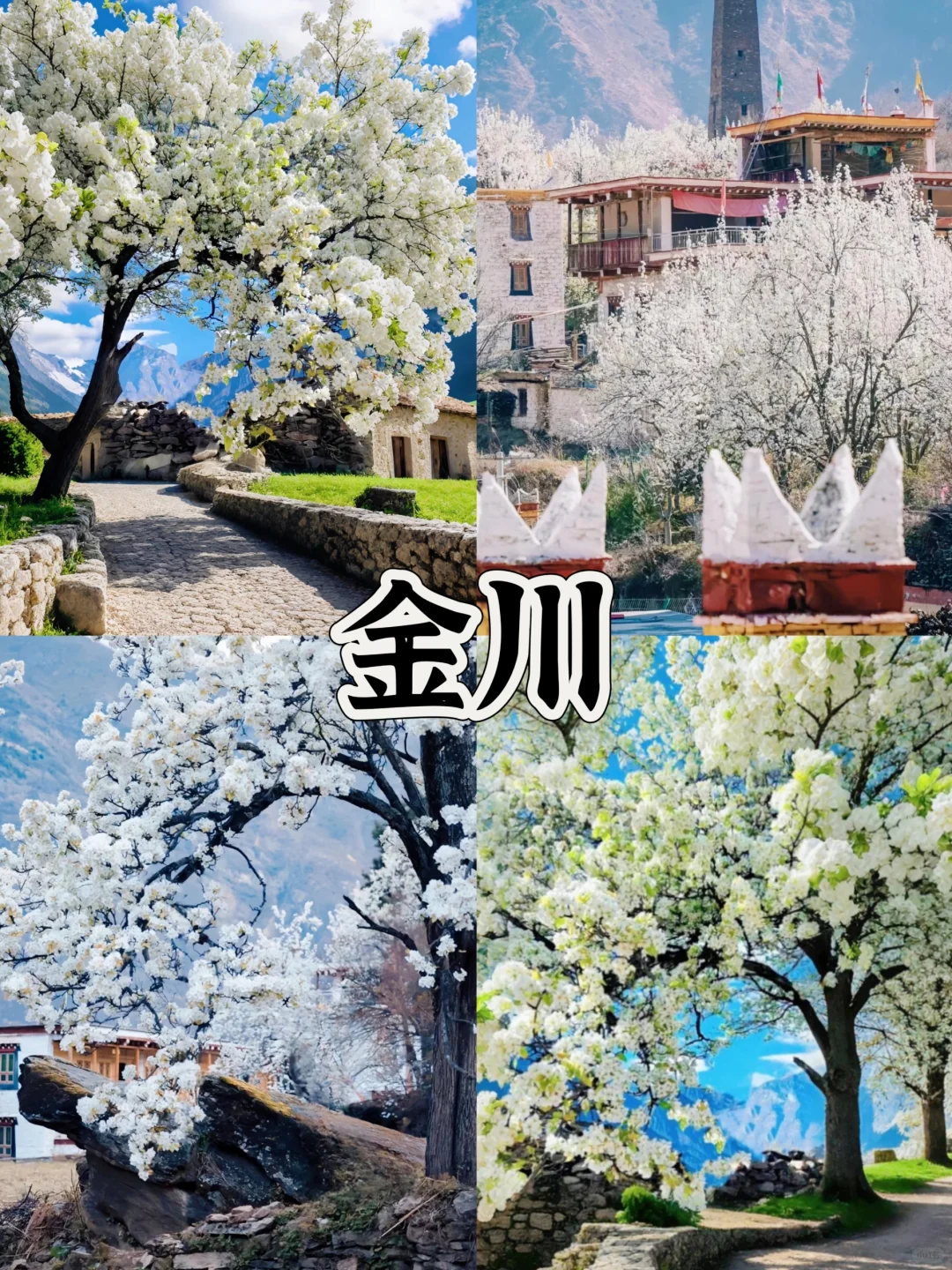 3-4月份 🍀适合春天旅游8个地方 赶紧收藏