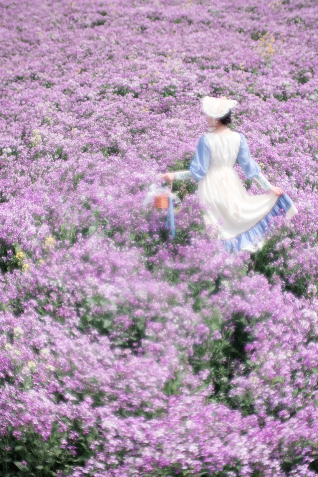 合肥普罗旺斯·肥西派园🌸