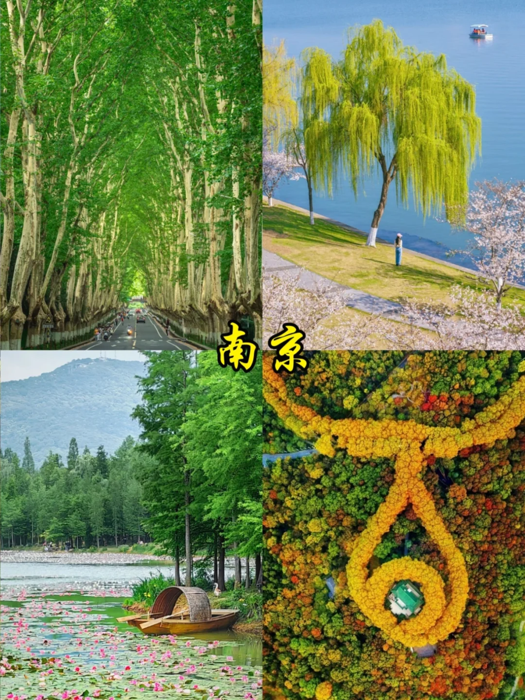 📍江浙沪周边游丨这9⃣️个宝藏城市一定要去！