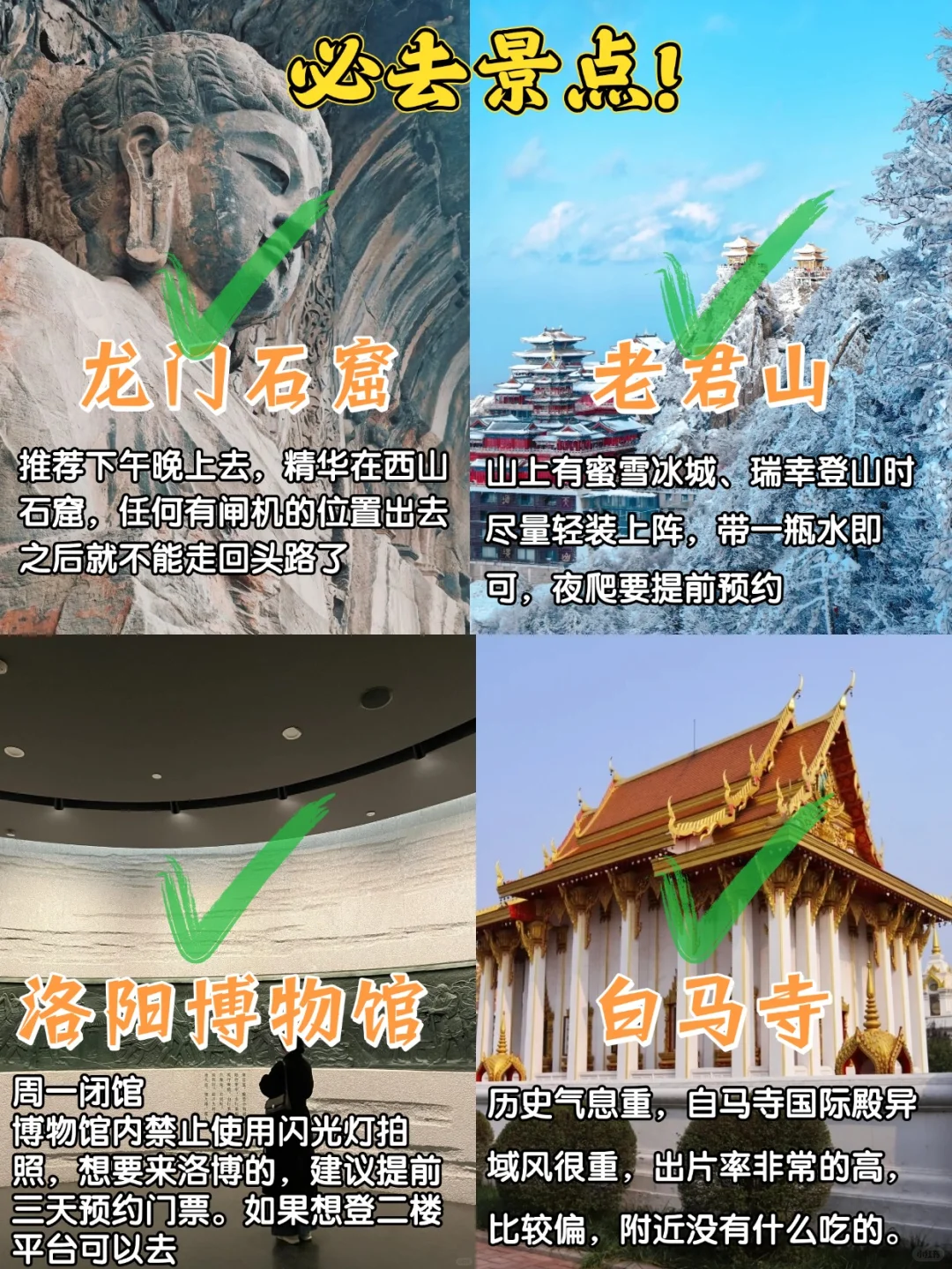 去洛阳前vs去洛阳后‼️只讲大实话