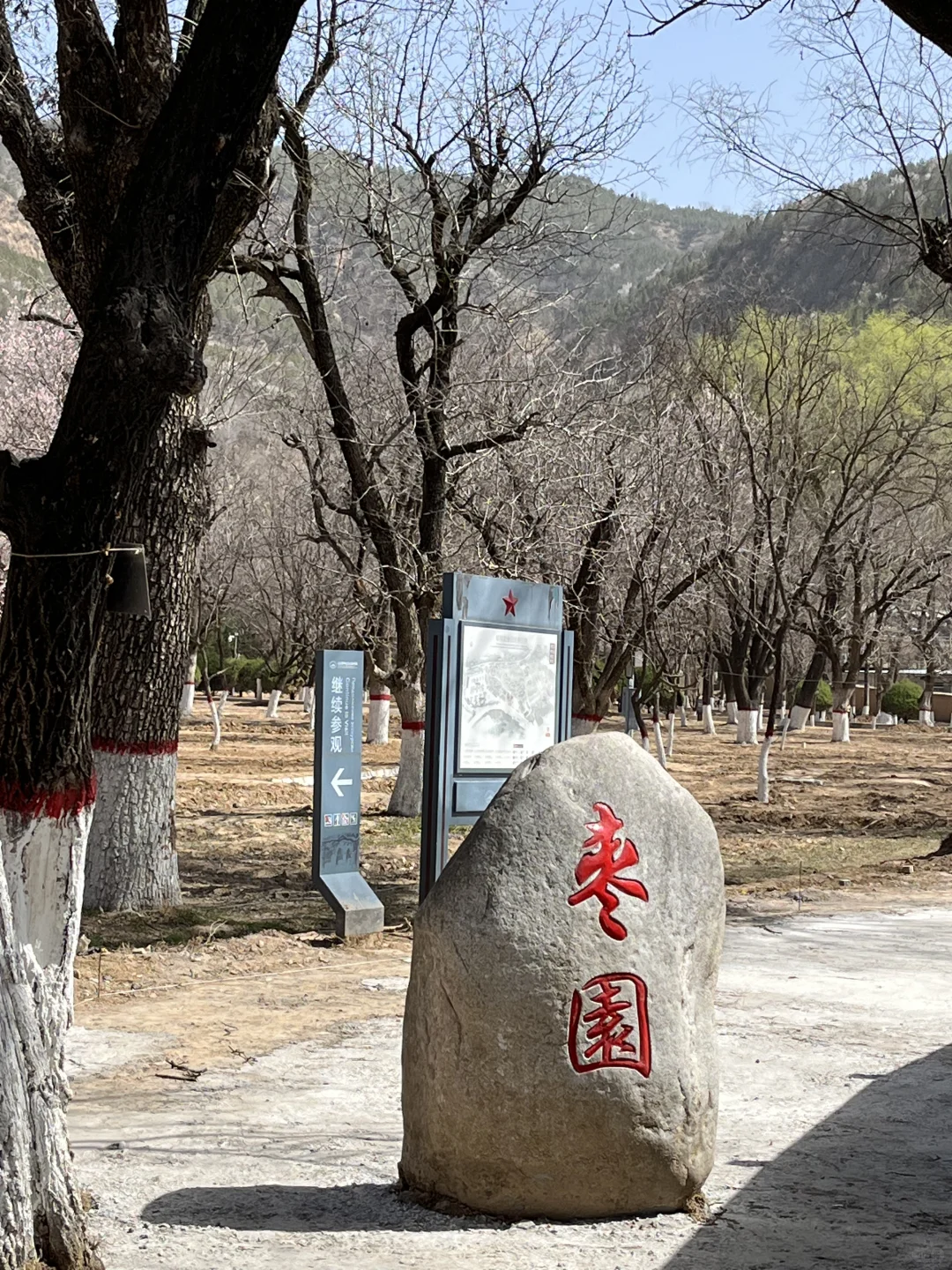 西安周边游➡️延安三天两夜旅游攻略