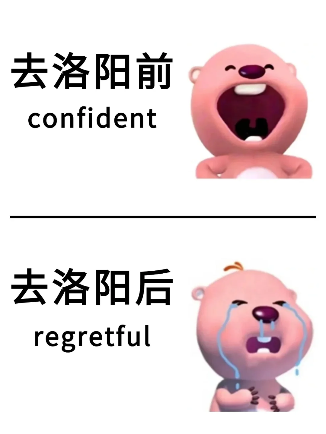 去洛阳前vs去洛阳后‼️只讲大实话