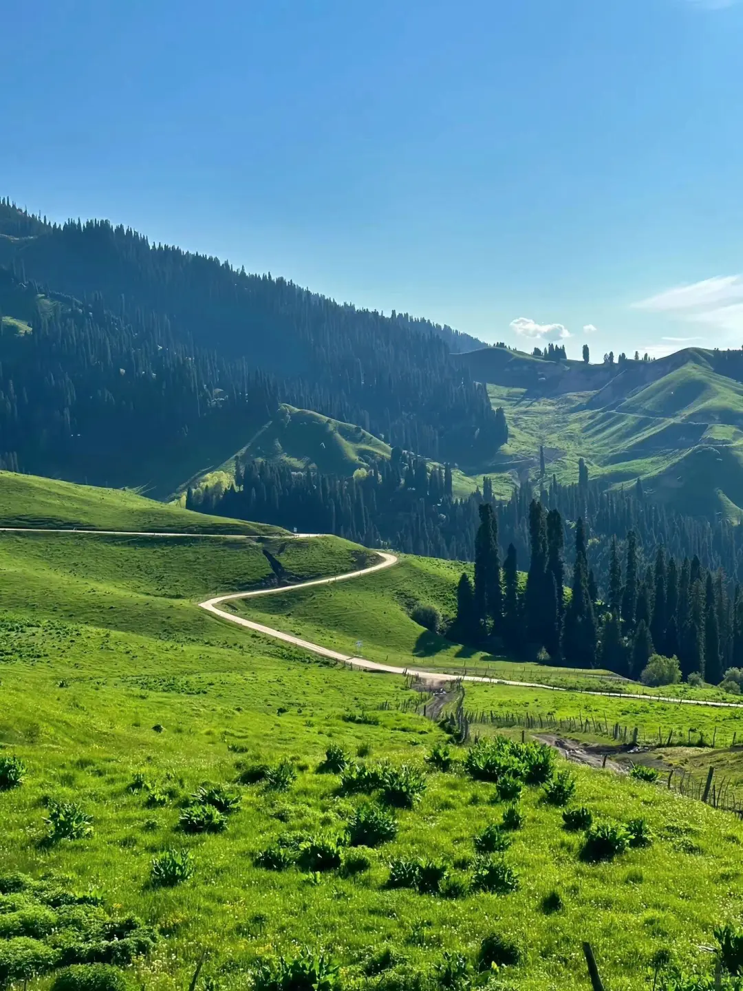 实话难听📍但4-5月来内蒙古的都是大冤种