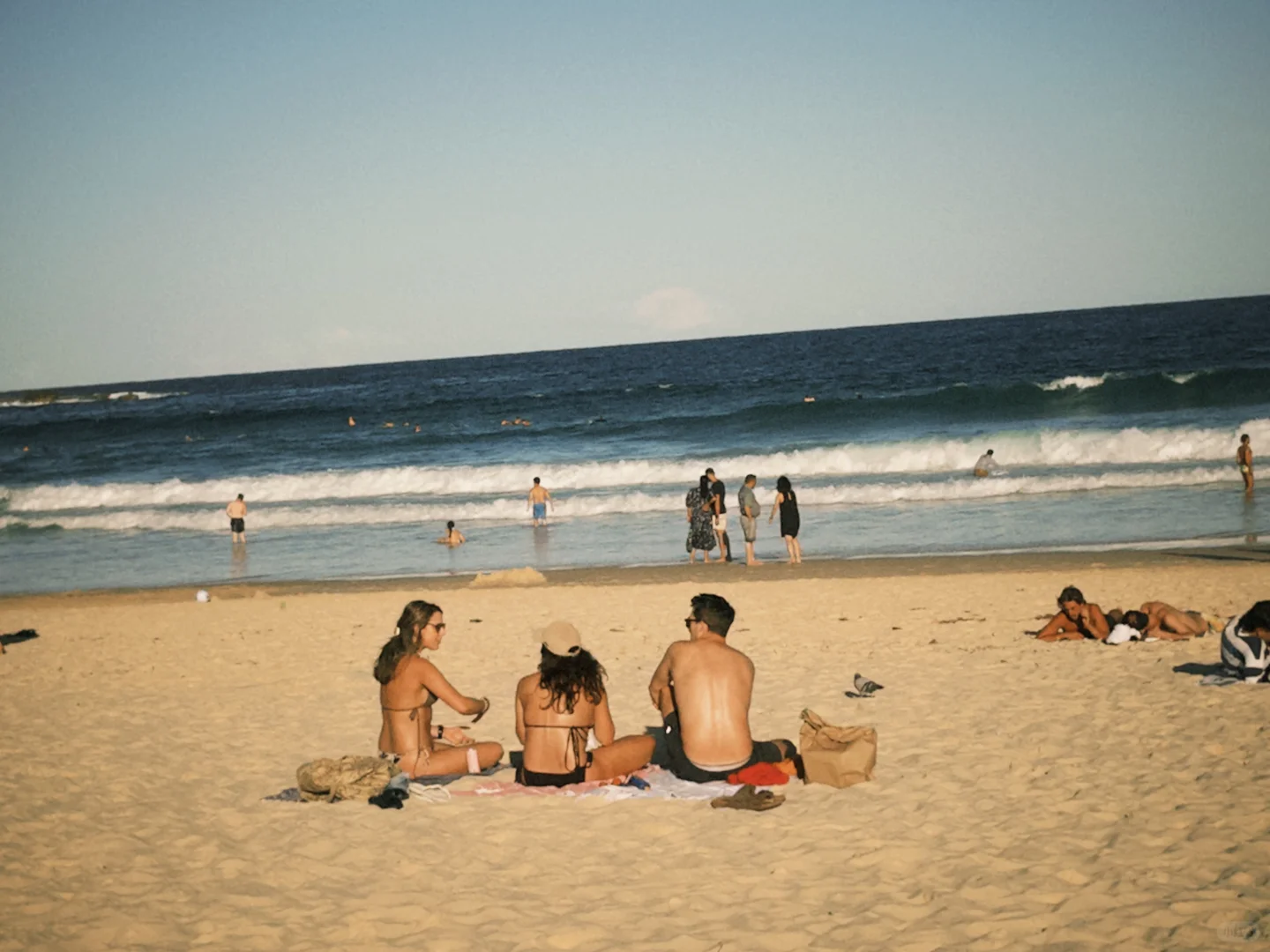 南半球依旧夏天🥥🏊🏄