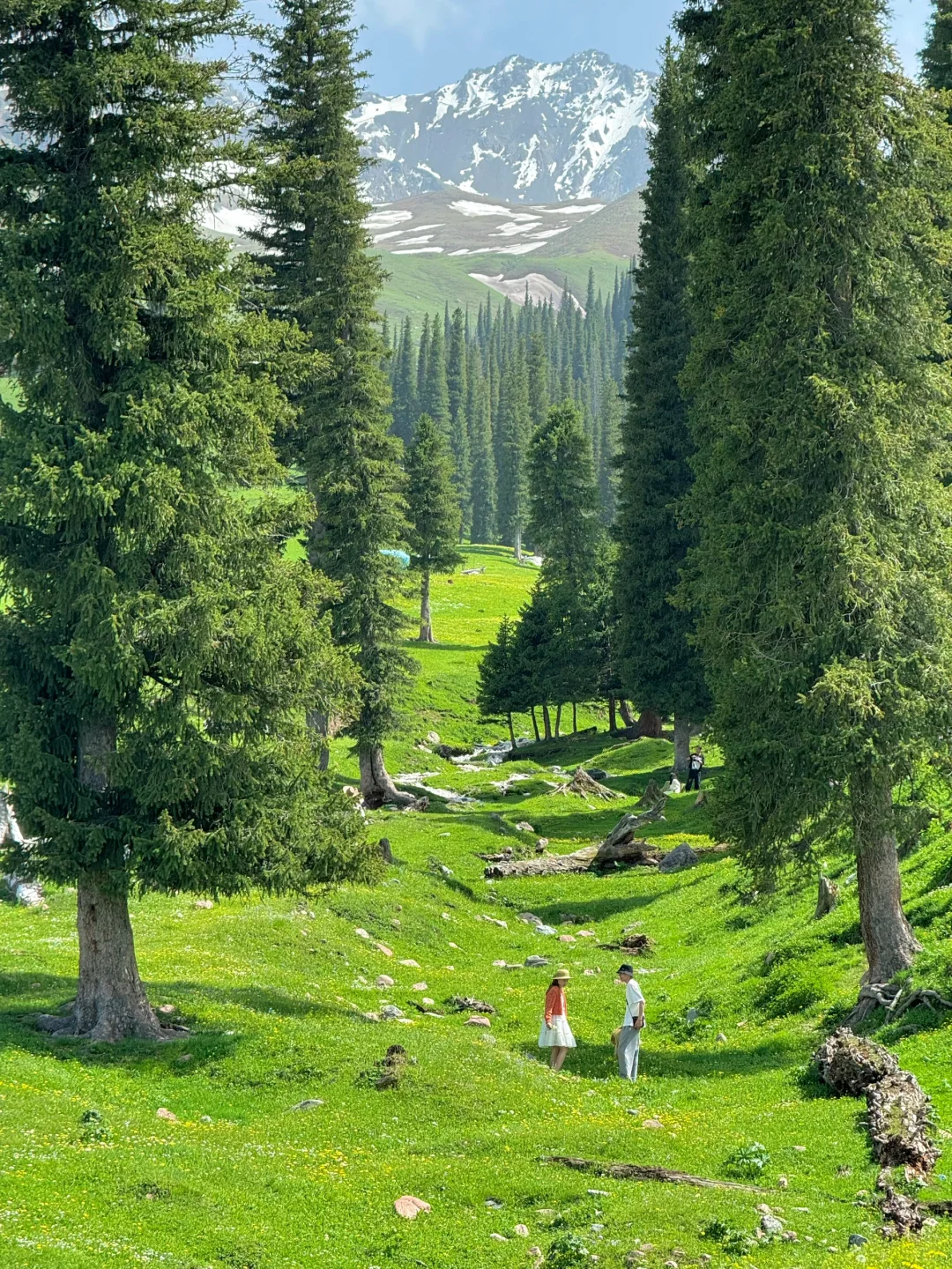 新疆的五月!!!人生真的是旷野啊!(live)