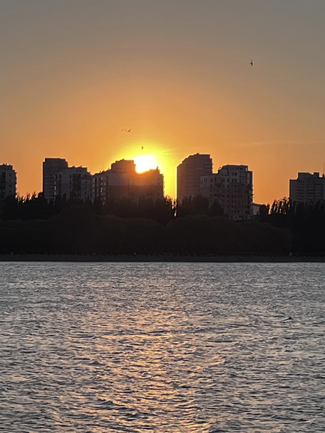 朝阳｜清明不知道去哪玩？朝阳真的很值得！