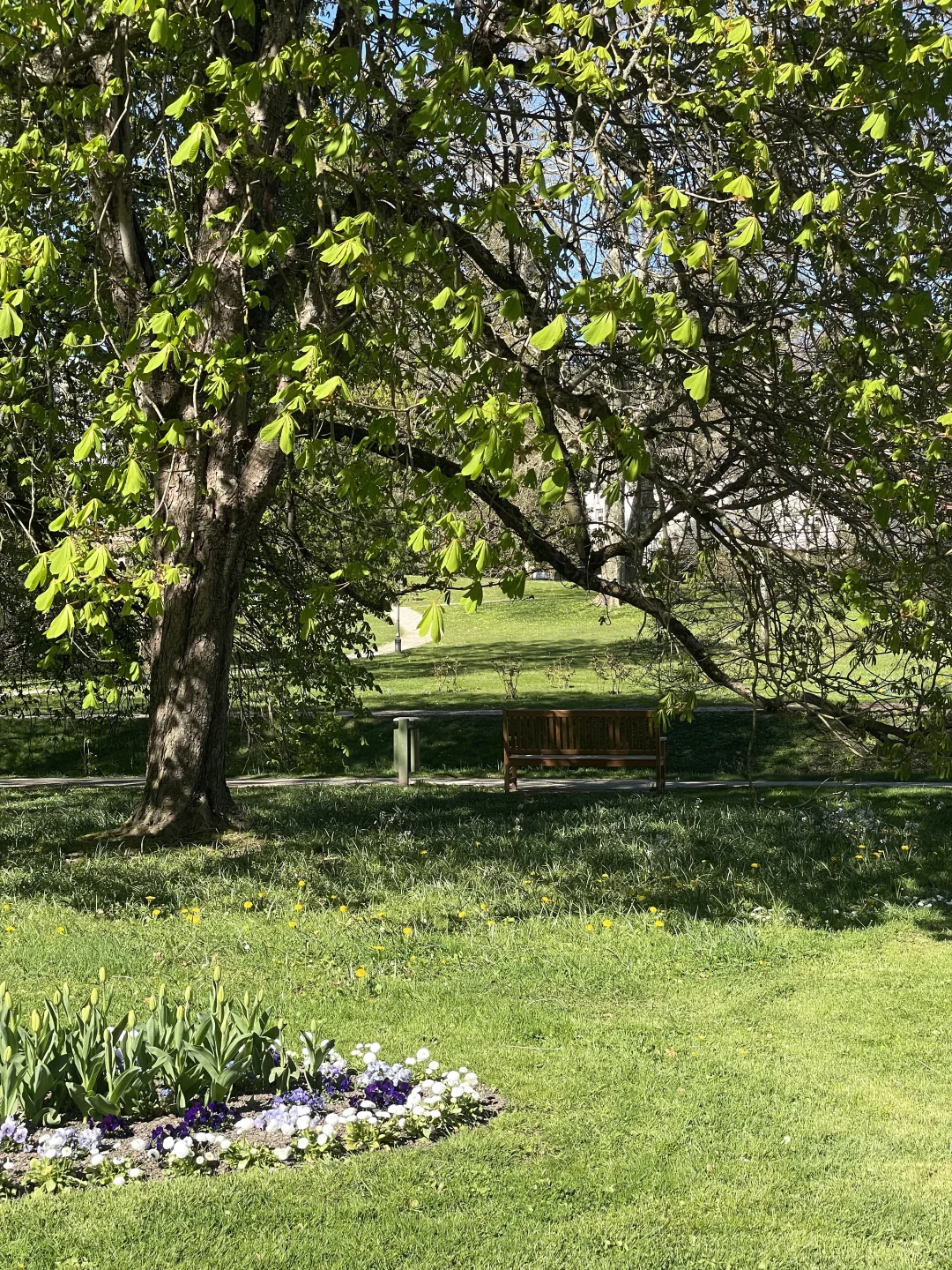 🇩🇪啊！是春天！