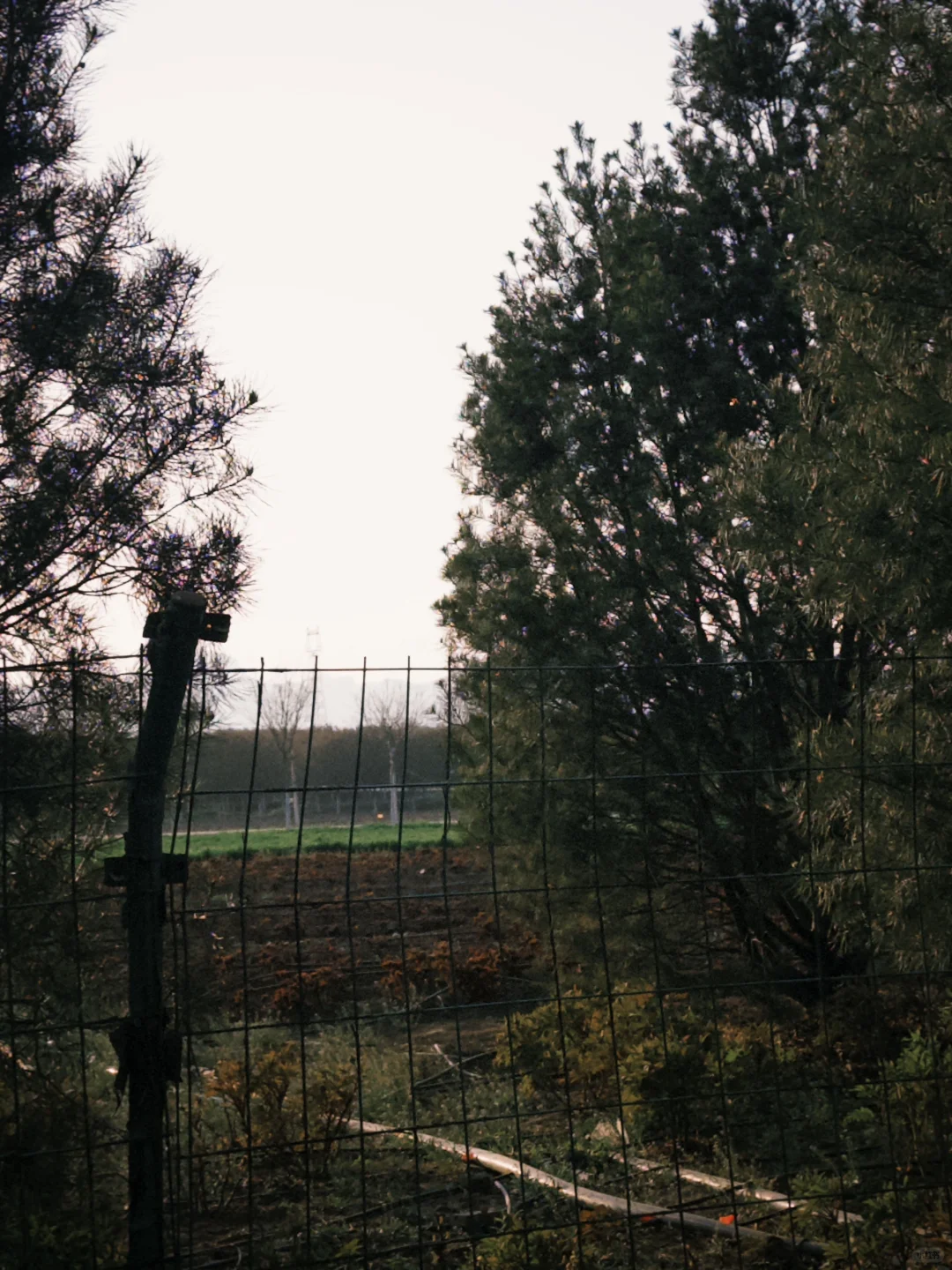 📍邯郸峰峰｜踏春之旅从这里开始吧～