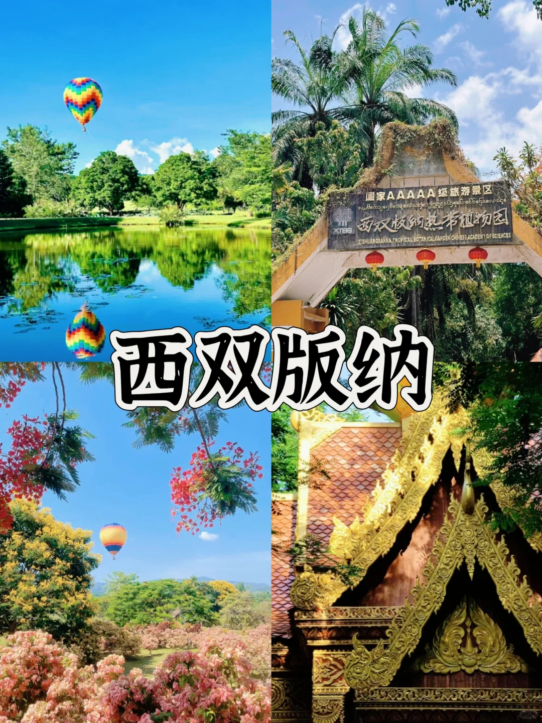 3-4月份 🍀适合春天旅游8个地方 赶紧收藏