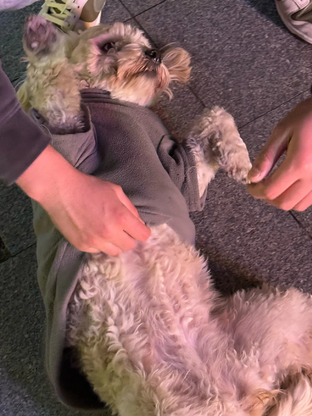 一条老街 吹吹晚风