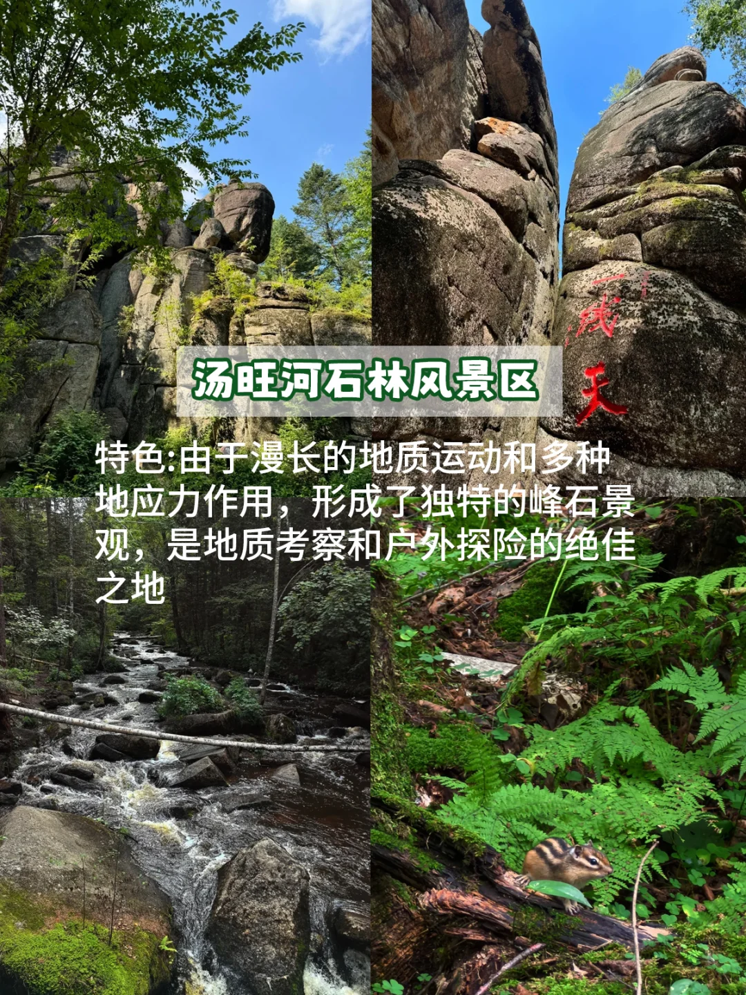 别告诉我你还没去过！伊春一定要打卡的景点