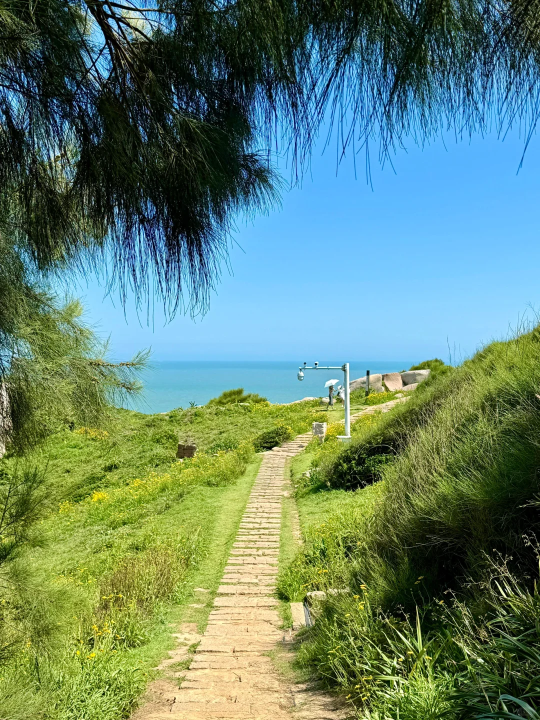 live图我宣布，这是国内最值得去的海岛！！