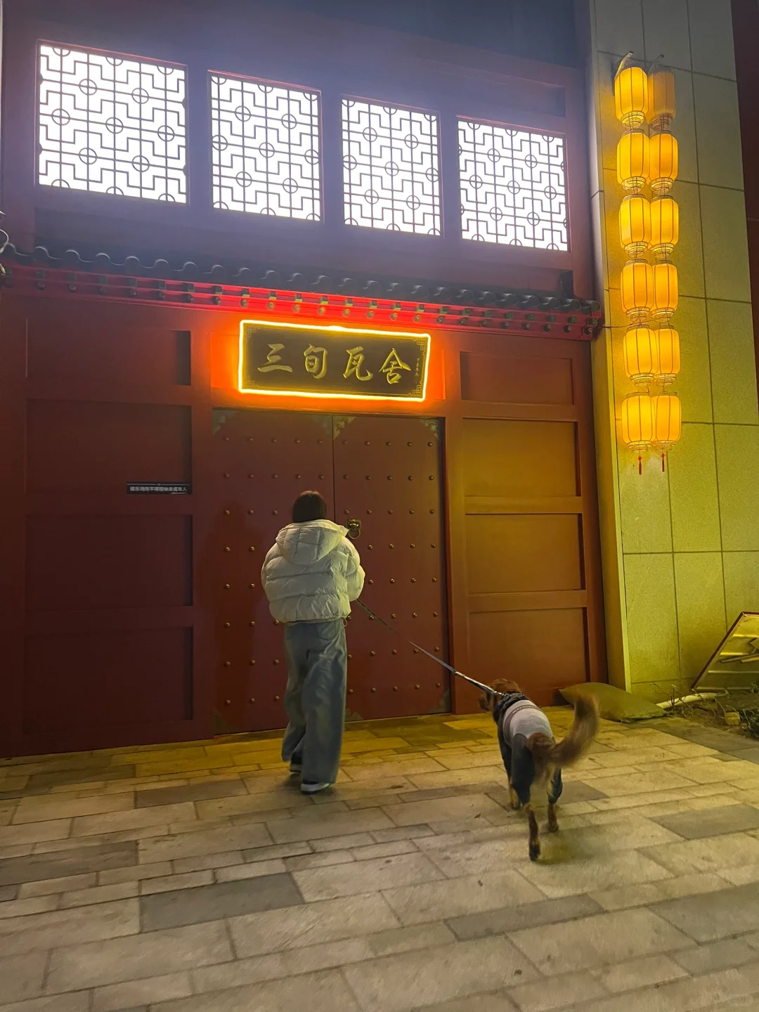 日照宠物友好攻略丨景点•餐厅🐶