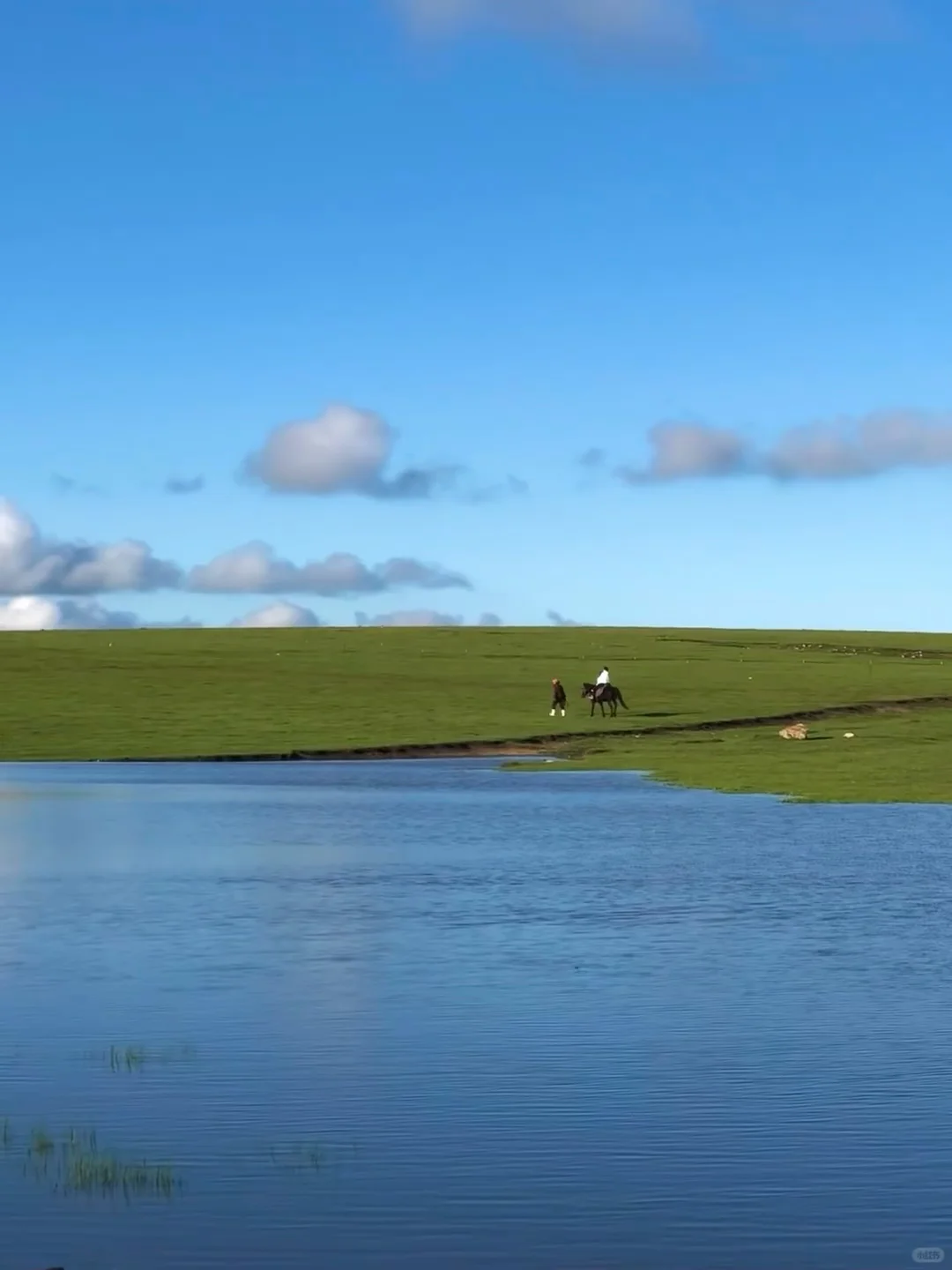 实话难听📍但4-5月来内蒙古的都是大冤种