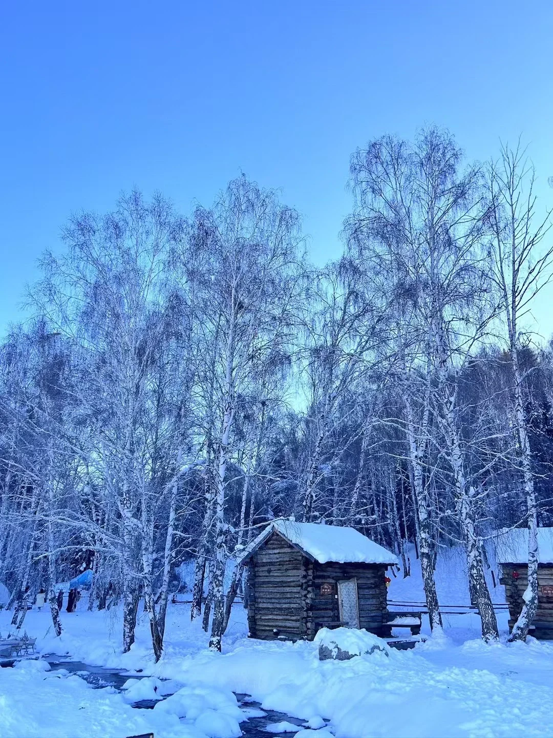 女大新疆小团遭罪已回！真的大力推荐！