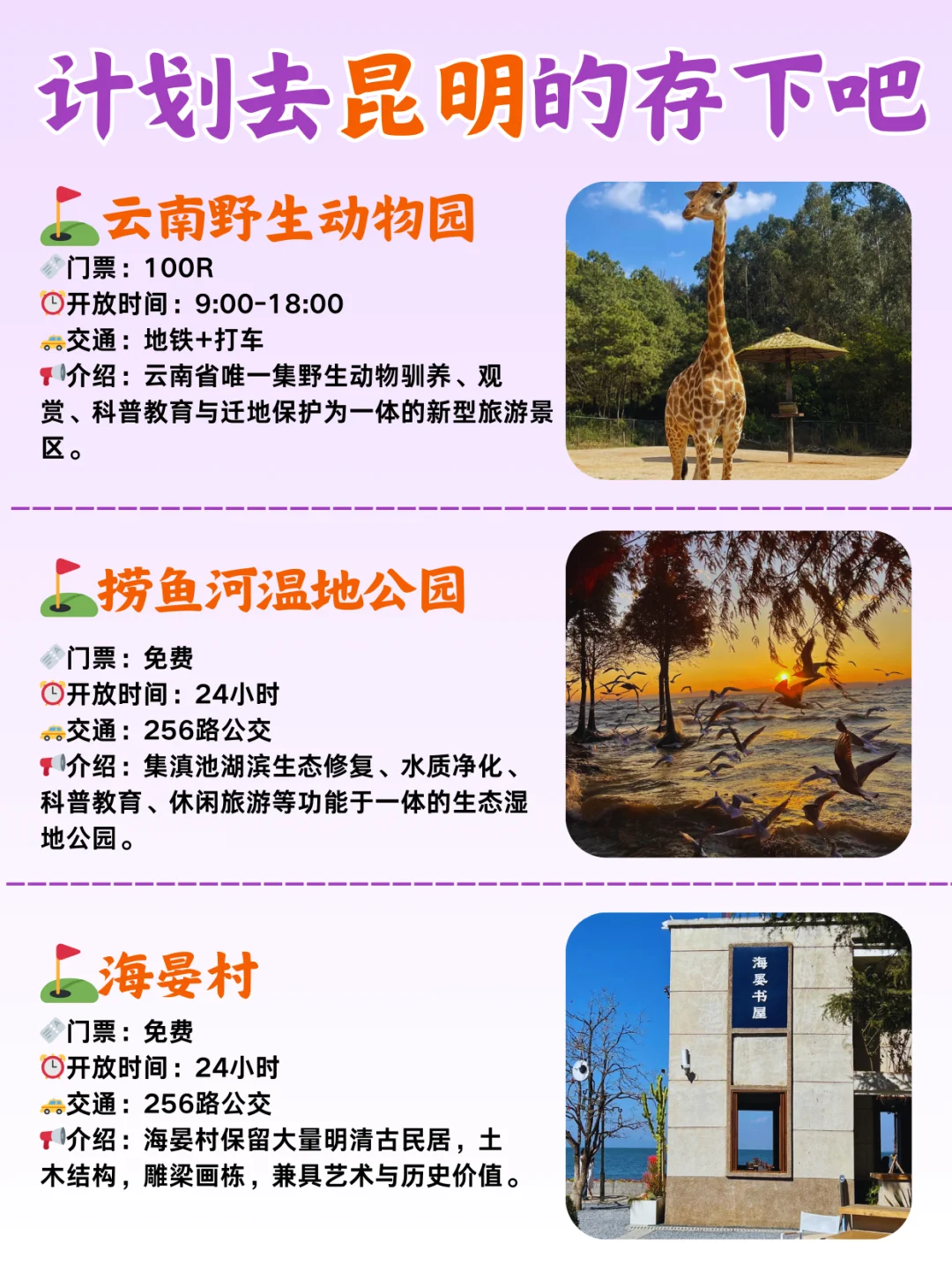 淡季去昆明旅游，保姆级攻略来啦！