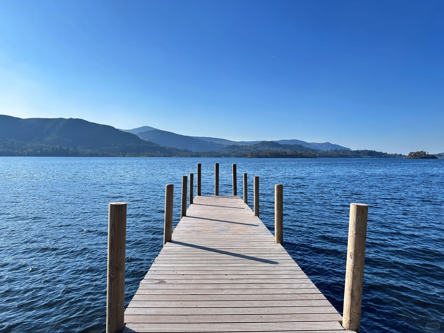 🍀_🍀.今天是绿草皮成精