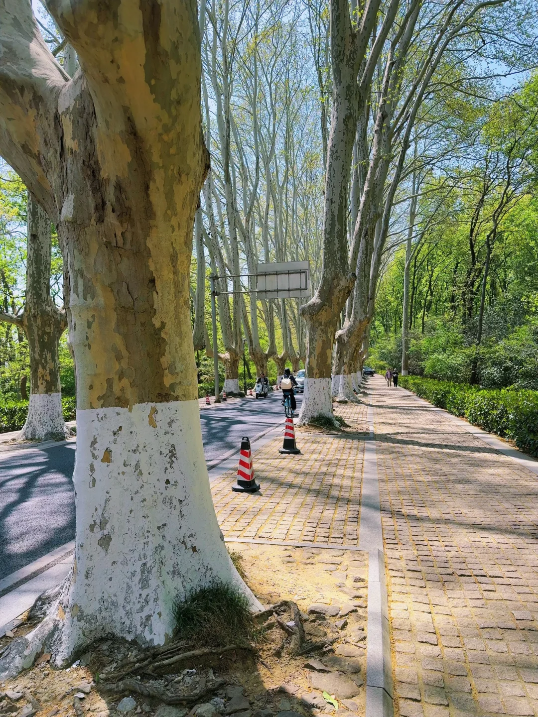 我悟了！反向旅行才是人少的真谛