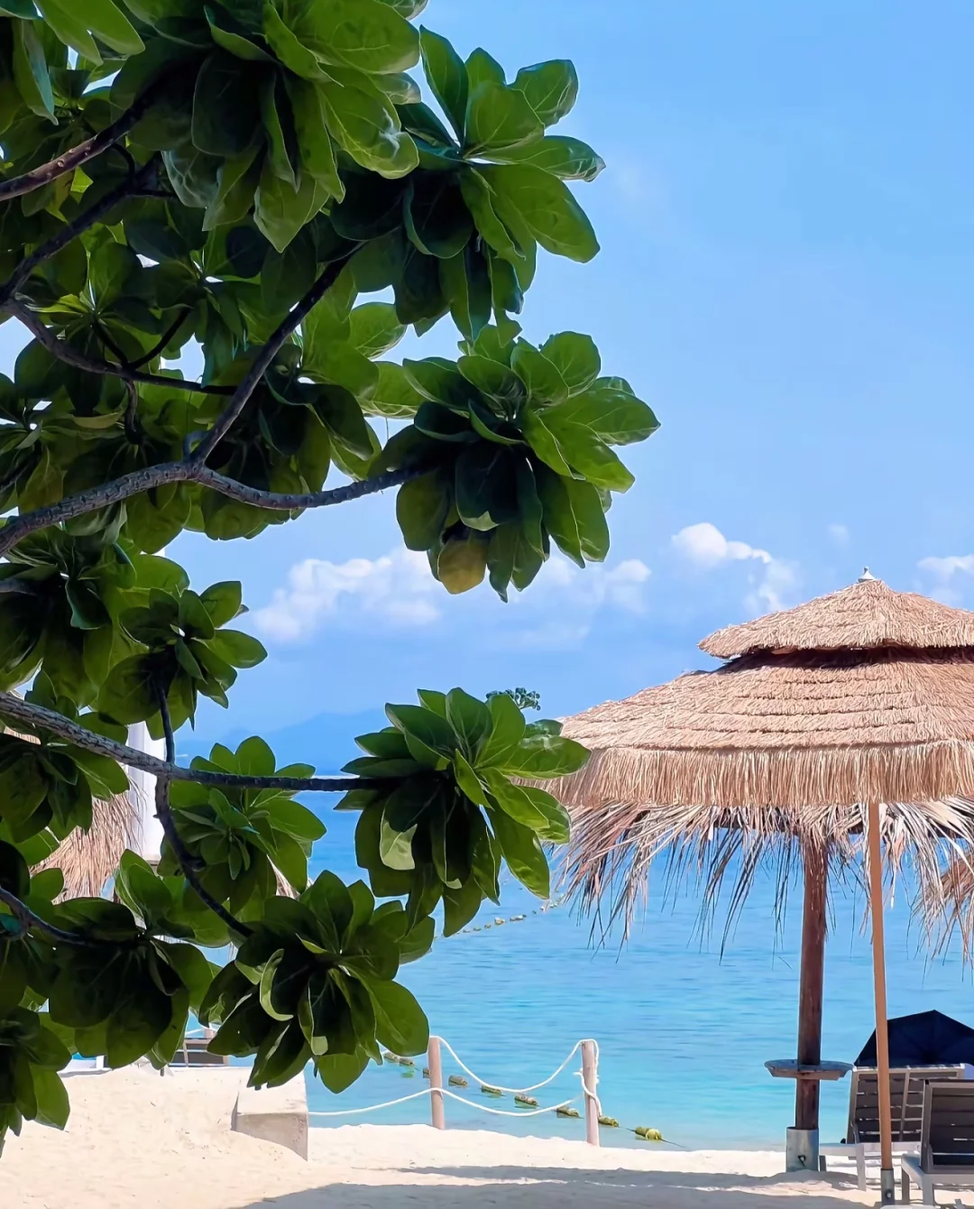 🥥误入三亚“小宇宙”！蜈支洲岛全攻略