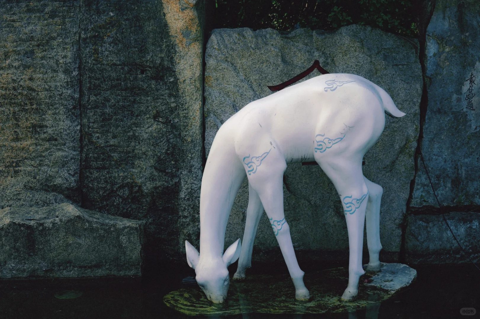 特种兵之一日游温州