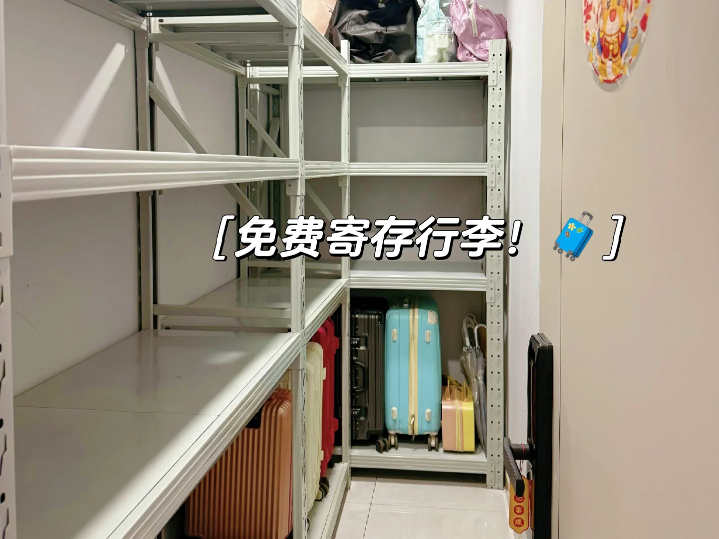 📣保姆级攻略来南京旅游的看这里!!!