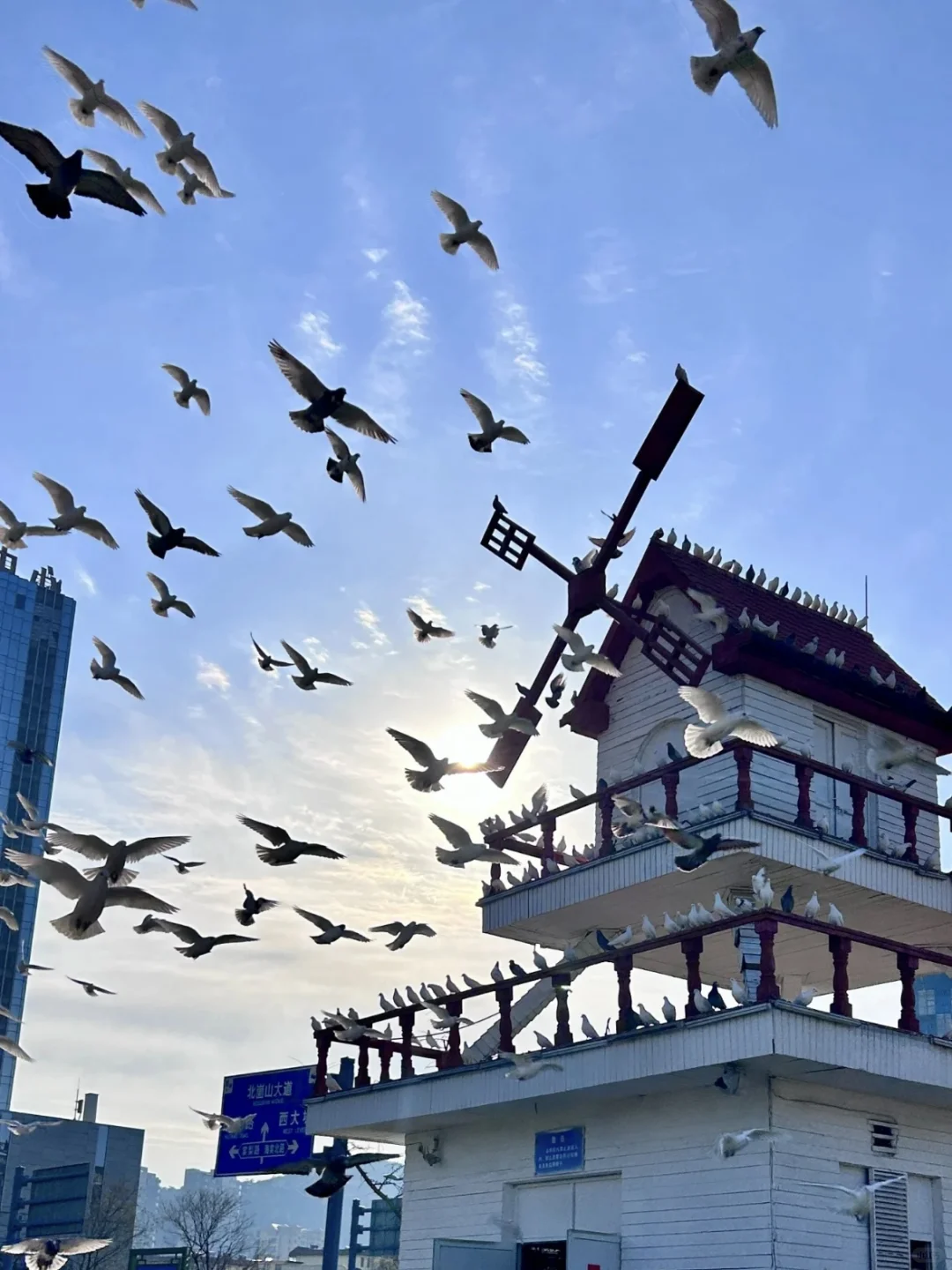 连云港：被低估的宝藏滨海旅游地✨