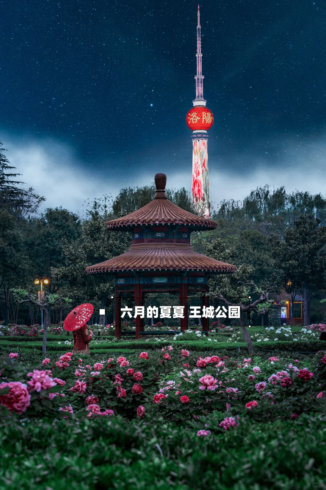 🌸洛阳攻略｜本地人推荐3天2晚玩转全部景