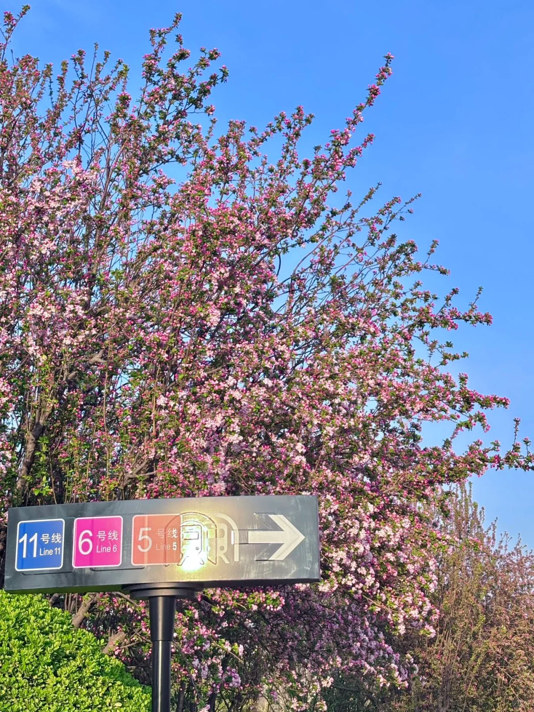 去天津前听点不一样的实话吧……