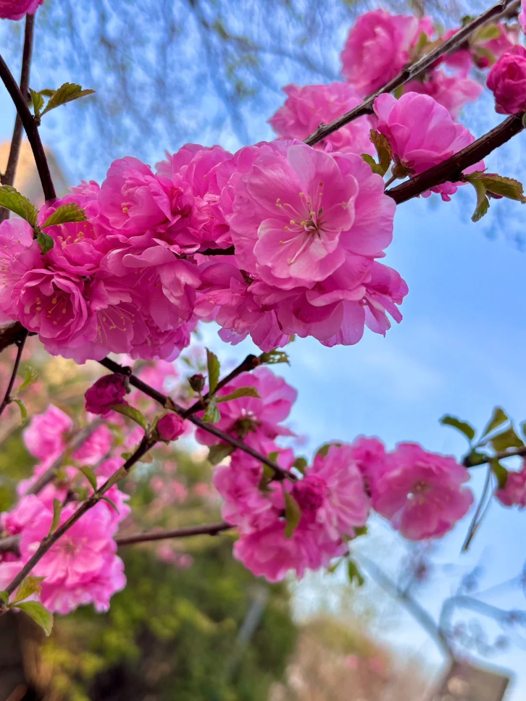 去天津前听点不一样的实话吧……