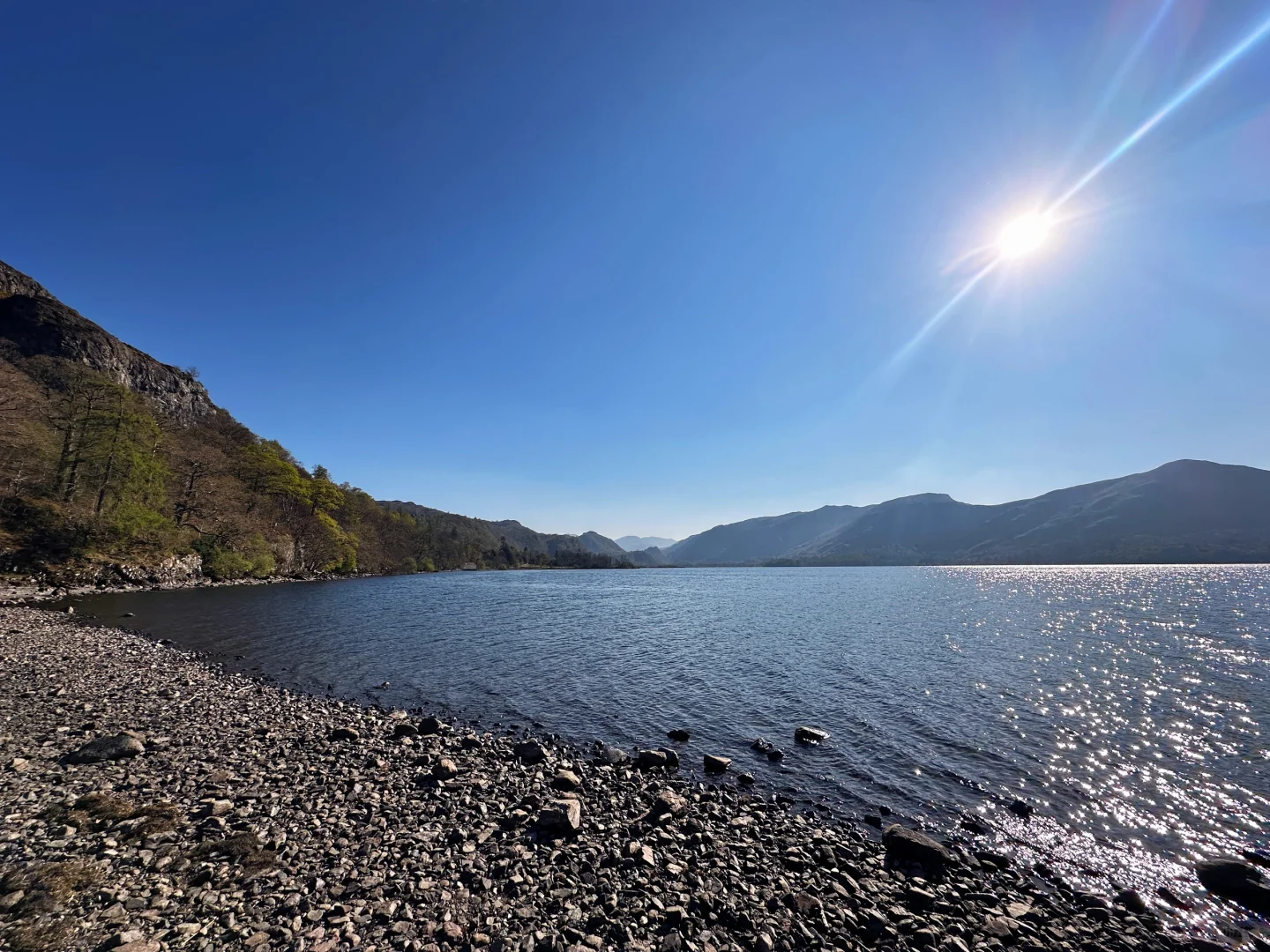 🍀_🍀.今天是绿草皮成精