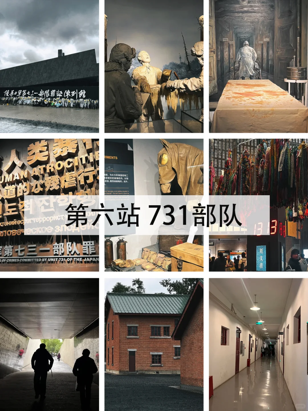 哈尔滨必去的九大景点 你打卡了几个？❄