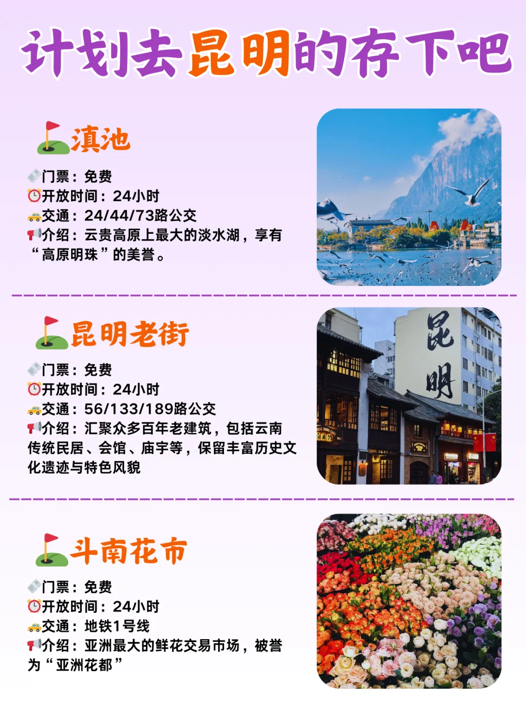 淡季去昆明旅游，保姆级攻略来啦！