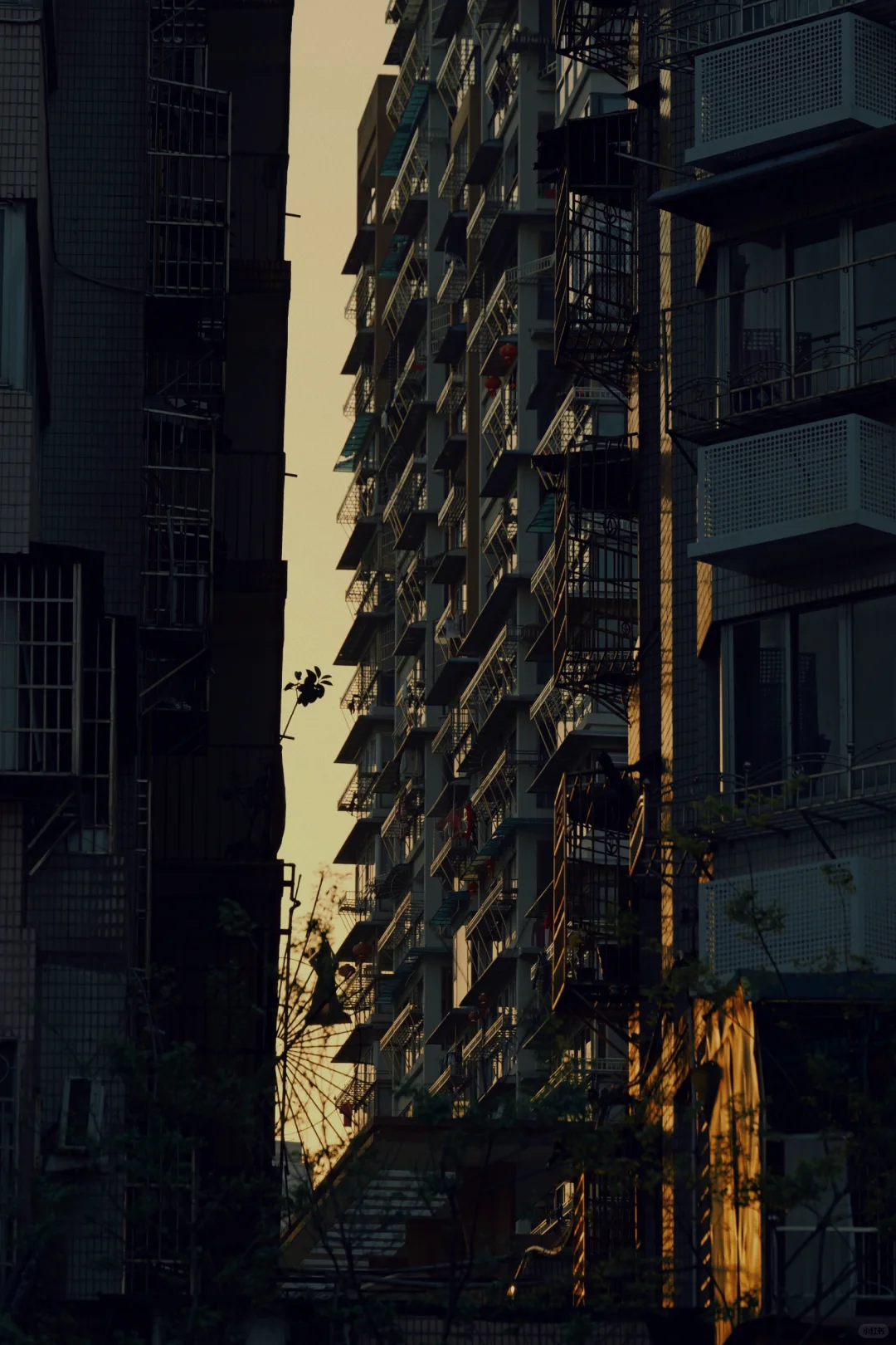 特种兵之一日游温州