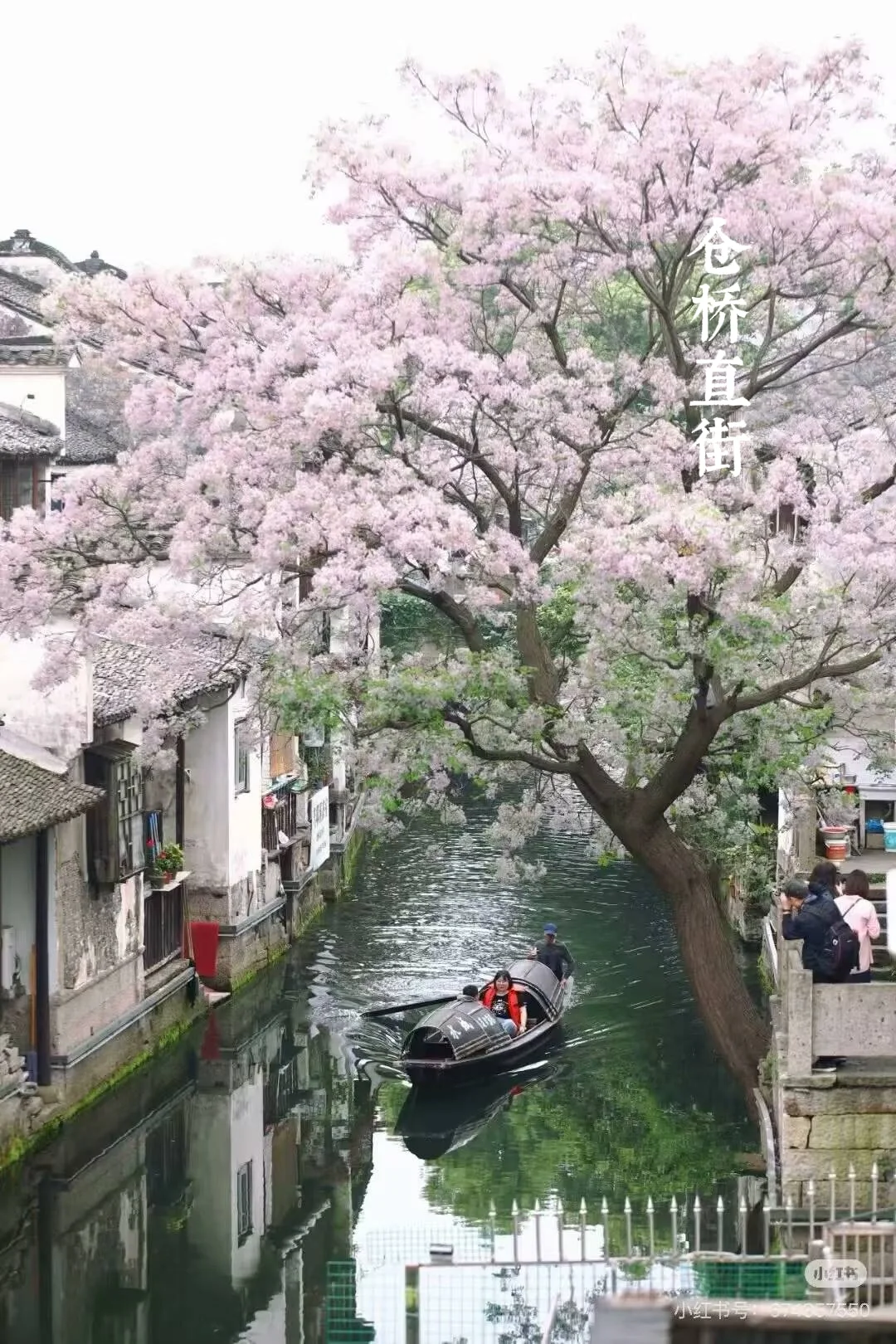 假期游绍兴攻略！！这八个景点必去！！