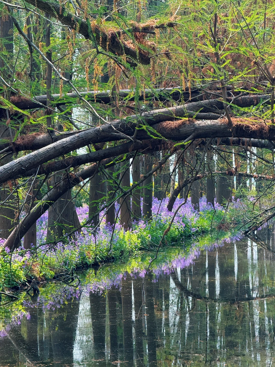 我悟了！反向旅行才是人少的真谛