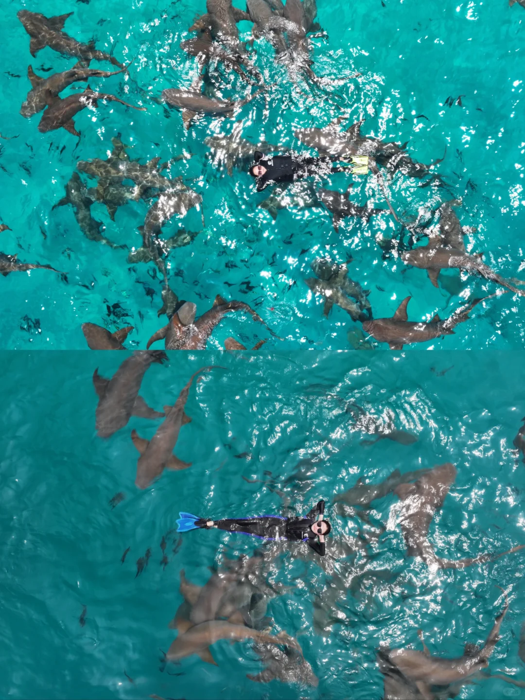 和男友在马尔代夫玩了6天，消费观崩塌了