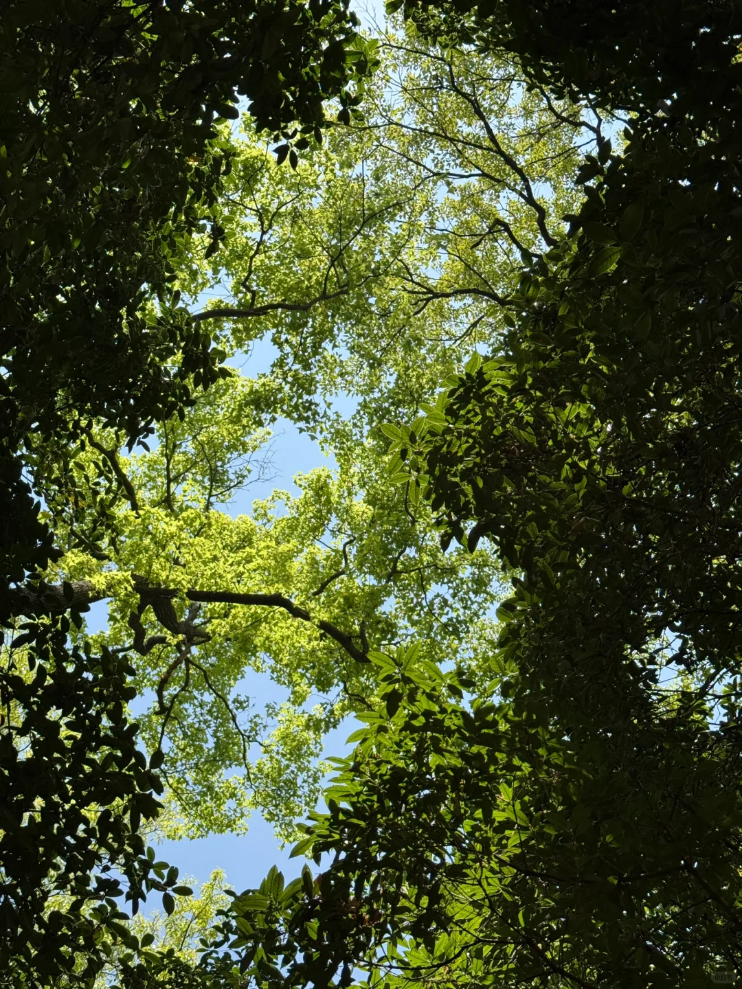 我悟了！反向旅行才是人少的真谛