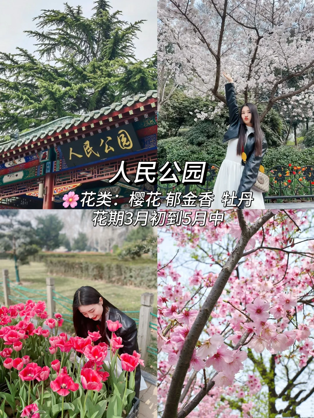 郑州这10个地方最近一定要去！（附赏花时间表